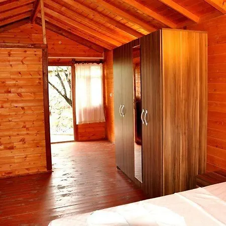 Hotel Peace 2*