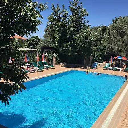 Hotel Peace 2*